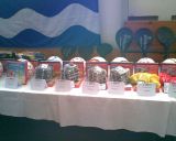 Fotogalerie Havířov 23.2.2008, foto č. 10