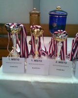 Fotogalerie Havířov 23.2.2008, foto č. 14