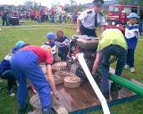 Fotogalerie Obvodové kolo hry Plamen - Hrachovec 2008, foto č. 48