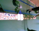 Fotogalerie Den dětí se soptíky 7.6.2008, foto č. 2