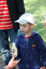 Fotogalerie Den dětí s hasiči a myslivci 2012, foto č. 27