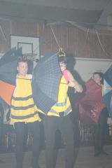 Fotogalerie Hasičský ples 2013, foto č. 162