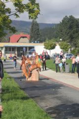 Fotogalerie Oslavy 70. výročí založení SDH, foto č. 56